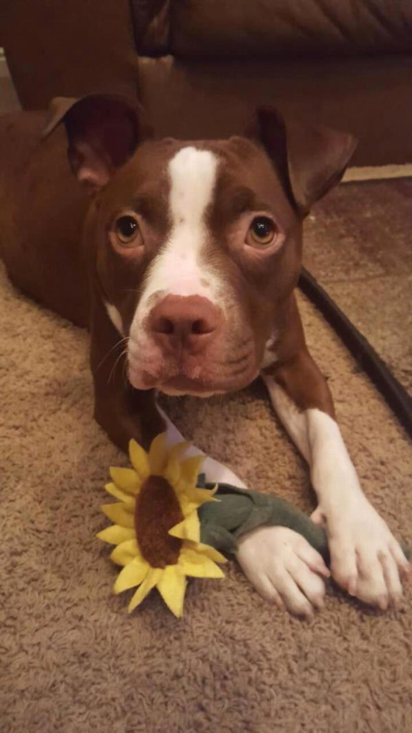 /Images/uploads/Humane Society of Utah/HSUCalendar/entries/598thumb.jpg